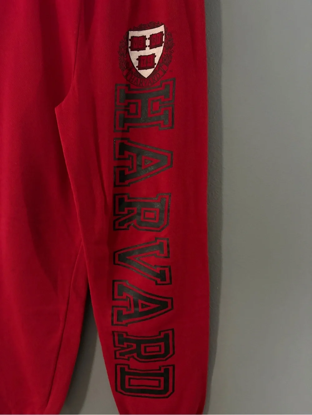 Tultex Red Kids Joggers with Side Lettering and Crest